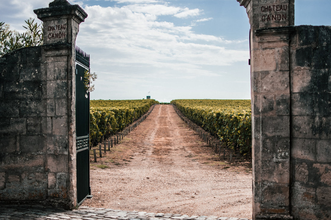 Why is French Wine famous? Un petit l'histoire de vin Francais